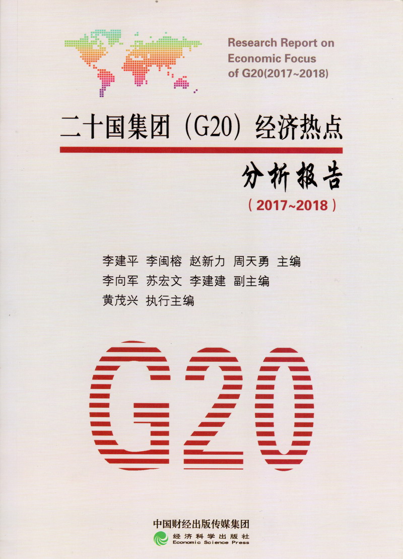 曰逼小网站二十国集团（G20）经济热点分析报告（2017-2018）